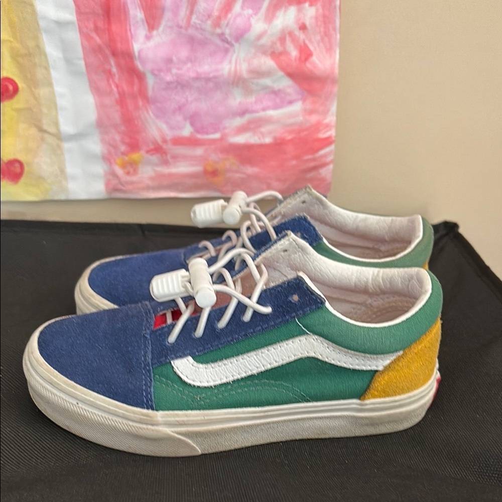 Vans Multicolor Skate Shoes